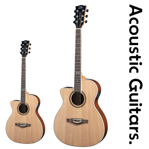 Acoustic Guitars